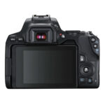 دوربین عکاسی کانن Canon EOS 250D Kit 18-55mm f/3.5-5.6 IS STM - تصویر 2