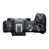 دوربین عکاسی کانن Canon EOS R8 Mirrorless Camera