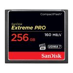 SanDisk 256GB Extreme Pro CompactFlash Memory Card 160MBs 01