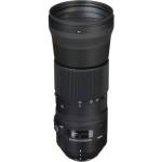 Sigma 150 600mm f5 6.3 DG OS HSM Contemporary Lens and TC 1401 1.4x Teleconverter Kit for Nikon F 01